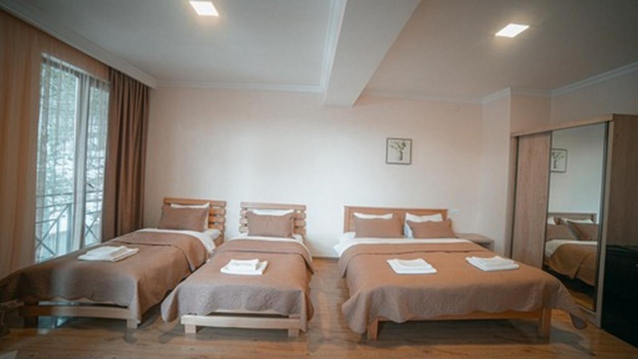 Hotel Surami Εξωτερικό φωτογραφία