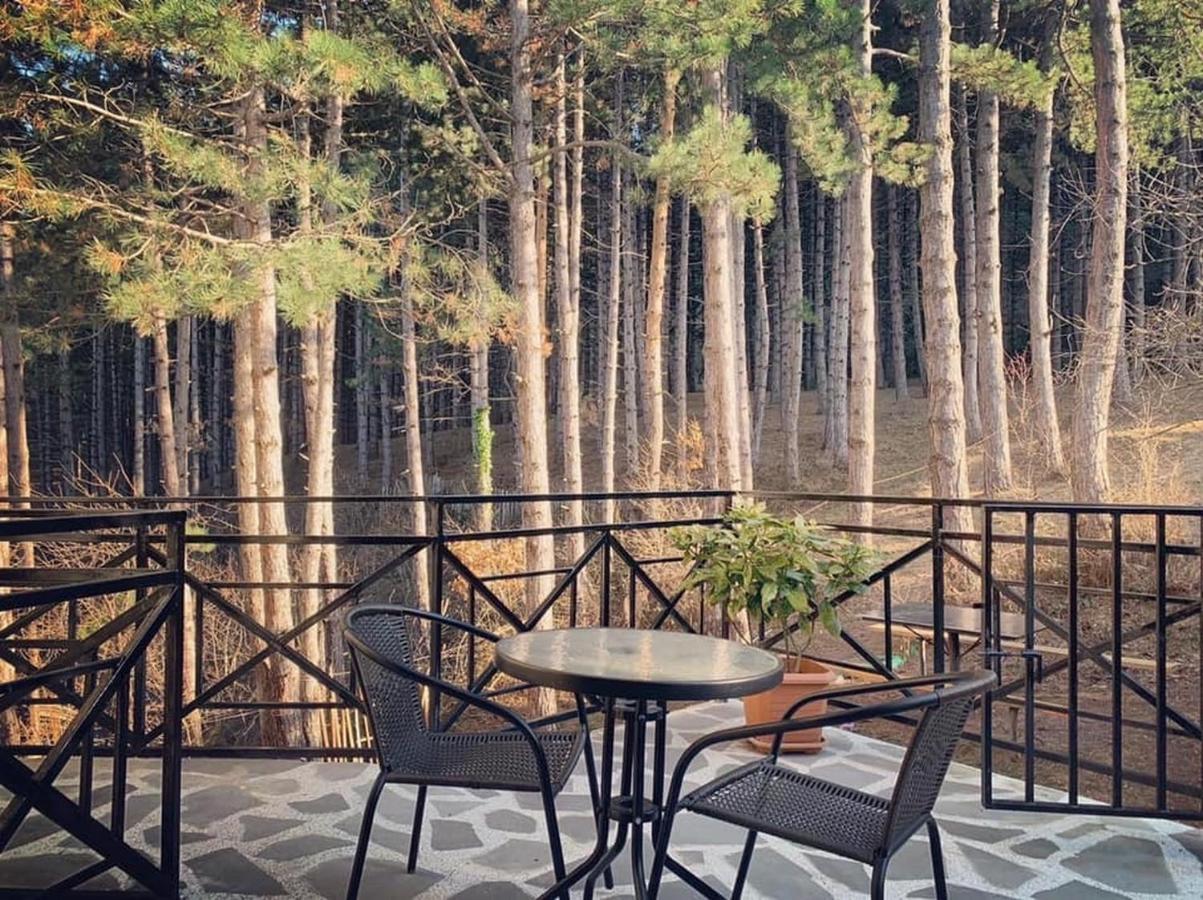 Hotel Surami Εξωτερικό φωτογραφία